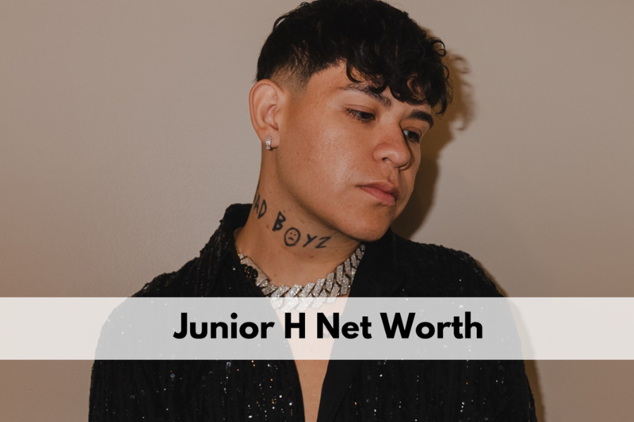 junior h net worth