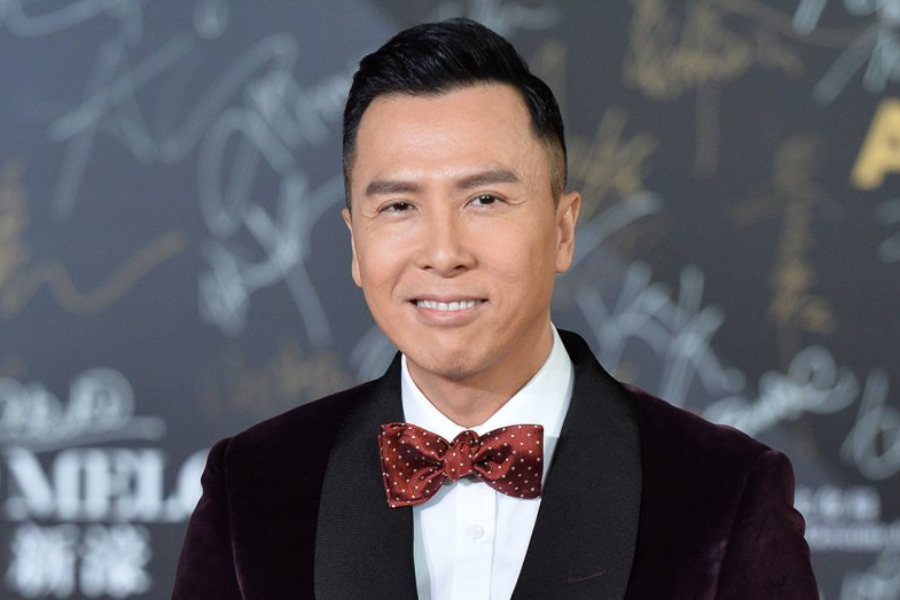 donnie yen net worth